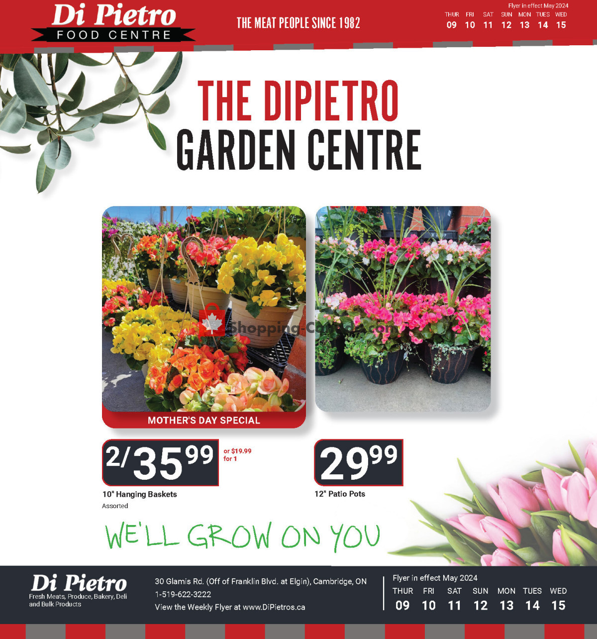 DiPietro's flyer from Thursday May 9, 2024 to Thursday May 16, 2024 - page 7