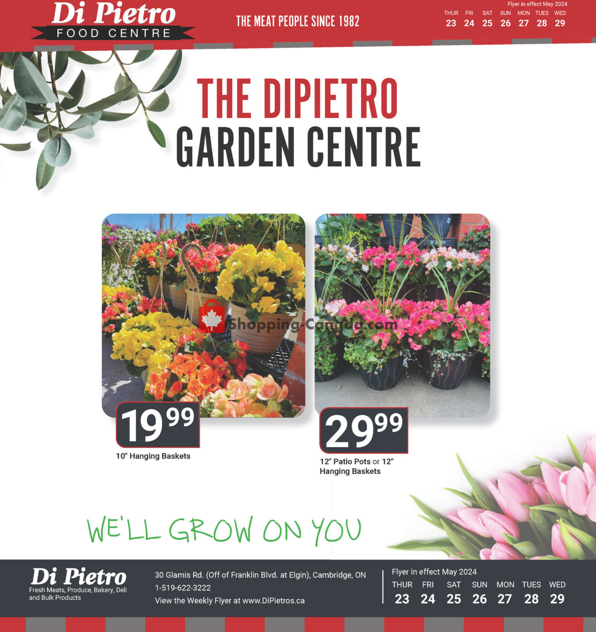 DiPietro's flyer from Thursday May 23, 2024 to Wednesday May 29, 2024 - page 6