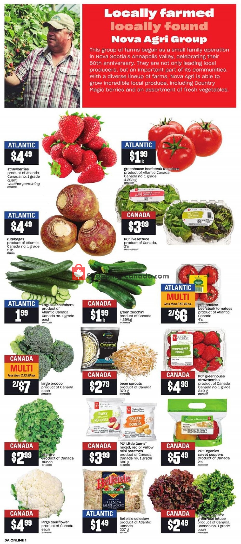 Dominion flyer from Thursday July 9, 2020 to Wednesday July 15, 2020 - page 4