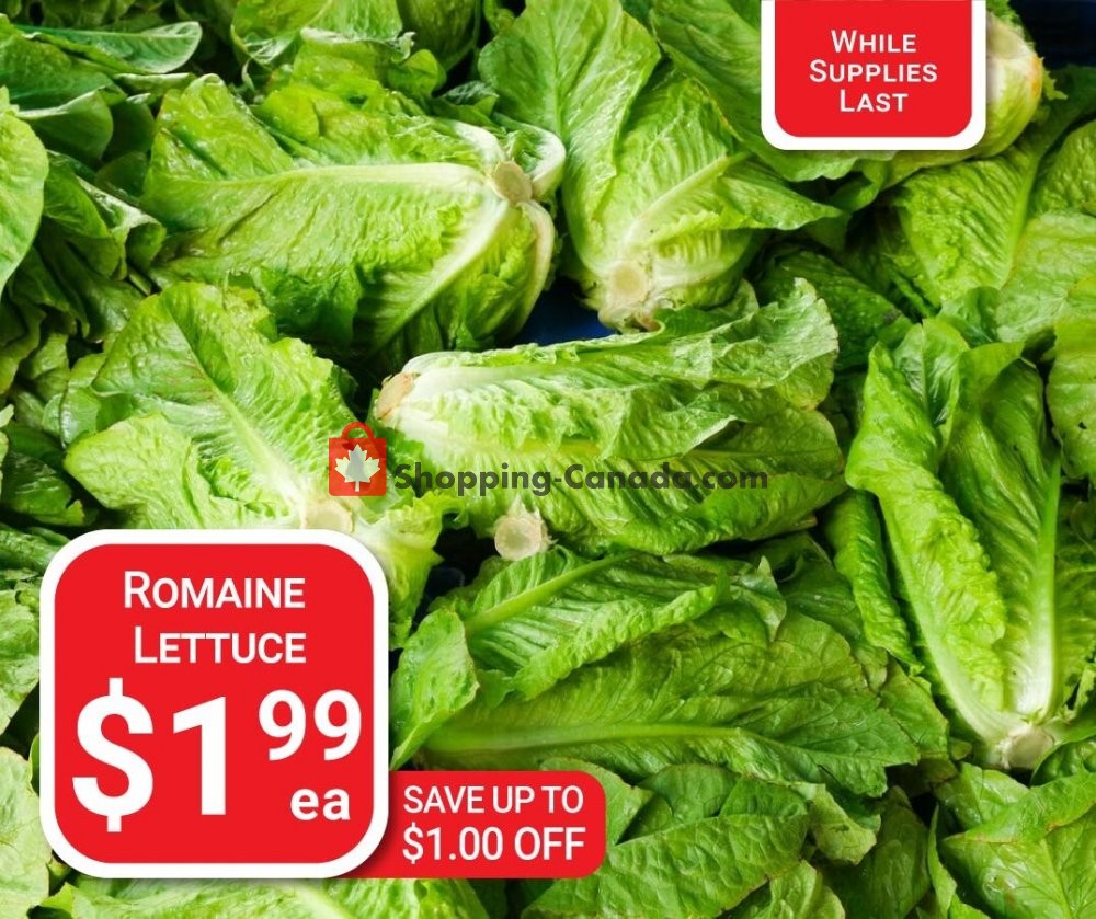 Dutchie's Fresh Market flyer from Thursday December 24, 2020 to Thursday December 24, 2020 - page 40