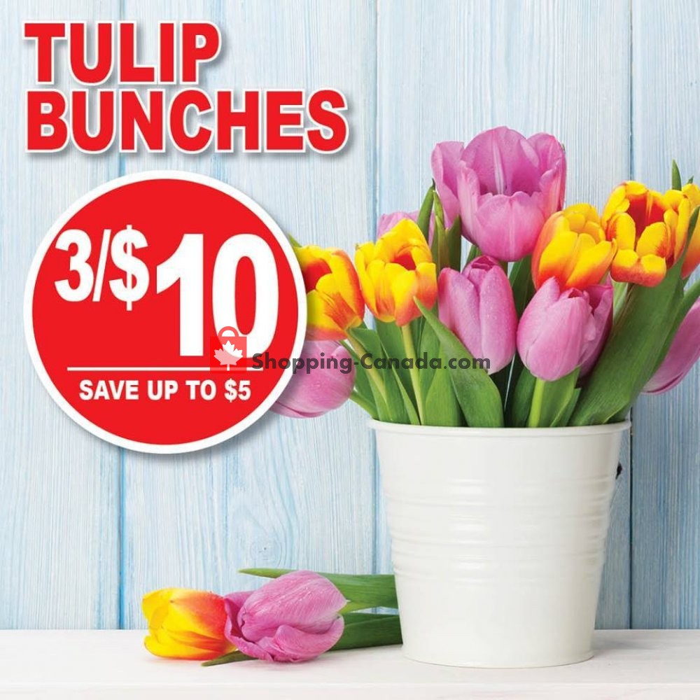 Dutchie's Fresh Market flyer from Tuesday April 16, 2019 to Tuesday April 16, 2019 - page 12