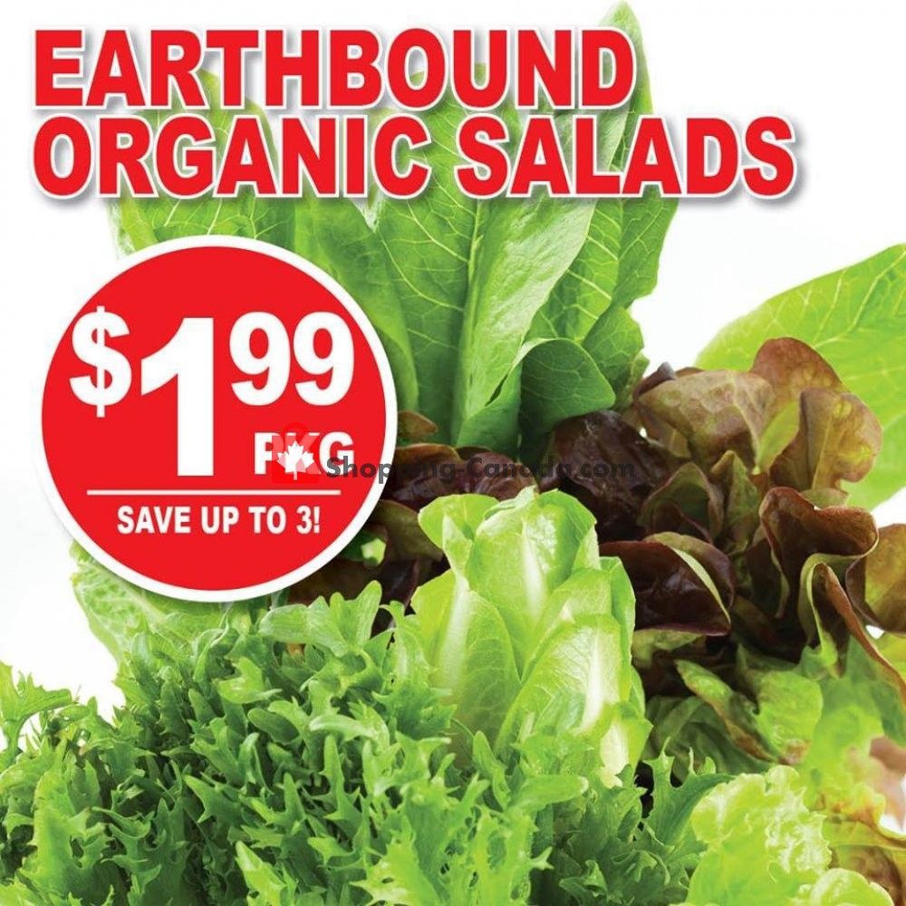 Dutchie's Fresh Market flyer from Tuesday April 16, 2019 to Tuesday April 16, 2019 - page 13