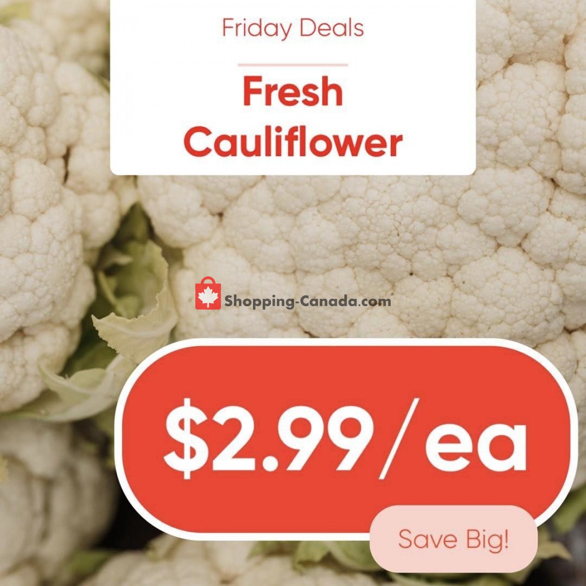 Dutchie's Fresh Market flyer from Friday January 20, 2023 to Friday January 20, 2023 - page 21