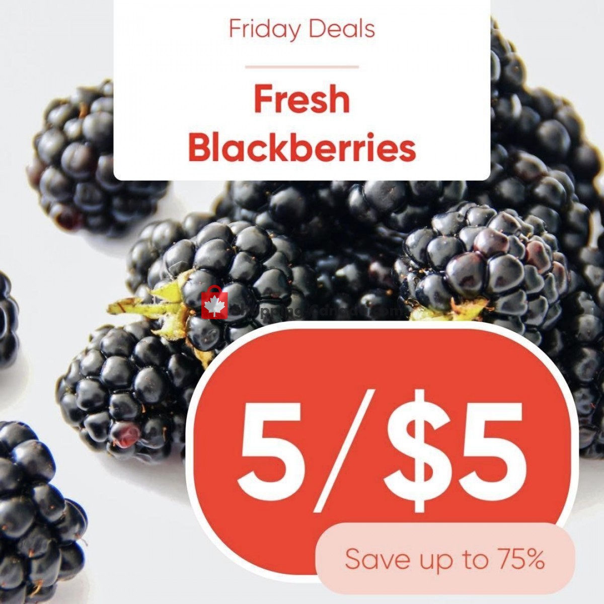 Dutchie's Fresh Market flyer from Friday January 20, 2023 to Friday January 20, 2023 - page 7