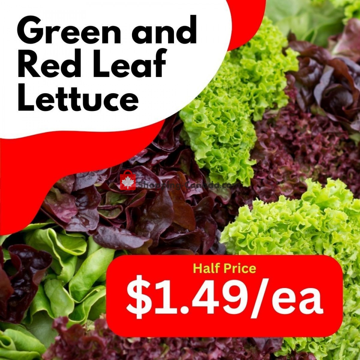 Dutchie's Fresh Market flyer from Friday June 16, 2023 to Friday June 16, 2023 - page 21