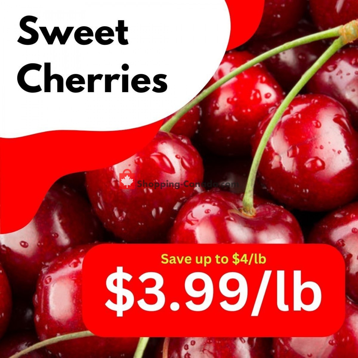 Dutchie's Fresh Market flyer from Friday June 16, 2023 to Friday June 16, 2023 - page 24