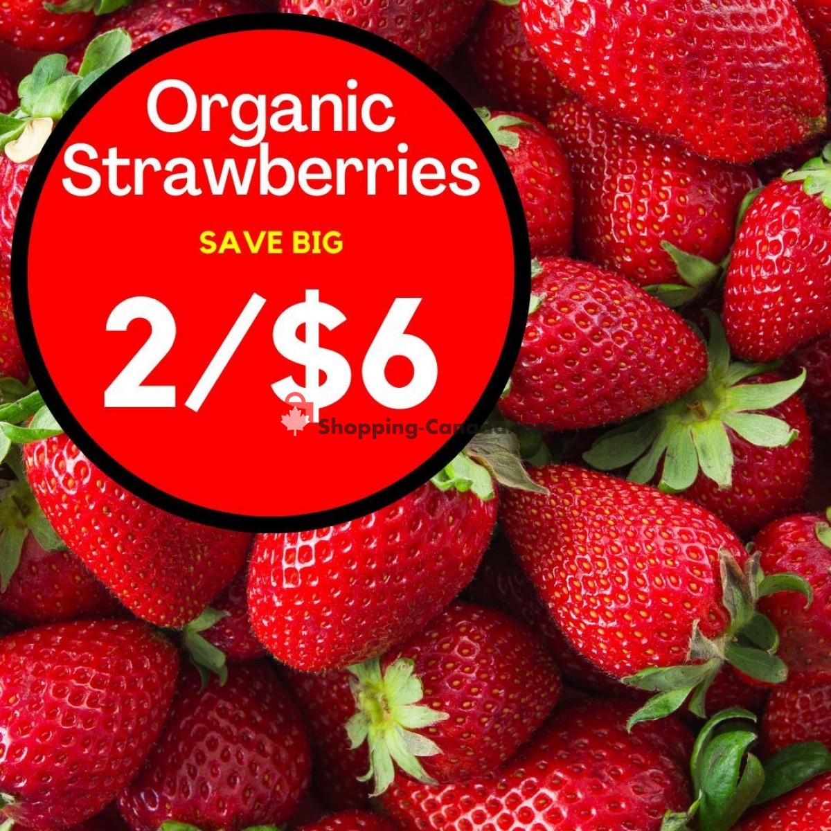 Dutchie's Fresh Market flyer from Friday June 23, 2023 to Friday June 23, 2023 - page 15