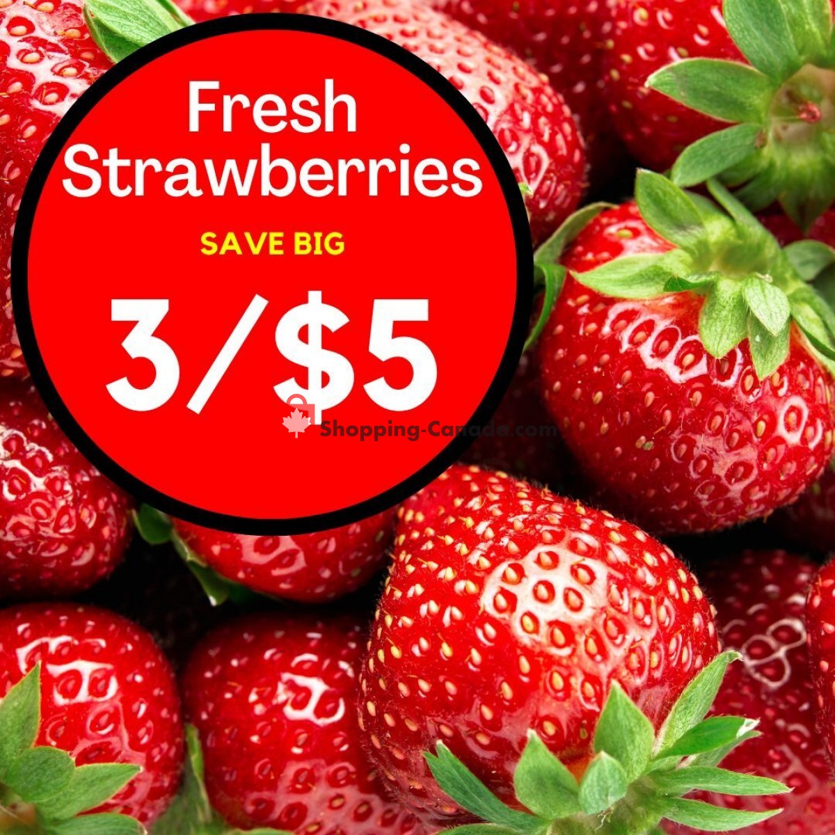 Dutchie's Fresh Market flyer from Friday June 23, 2023 to Friday June 23, 2023 - page 16