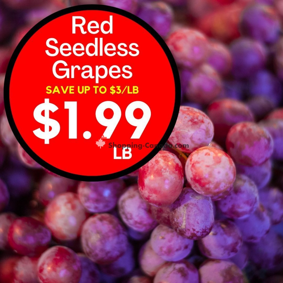 Dutchie's Fresh Market flyer from Friday June 23, 2023 to Friday June 23, 2023 - page 18