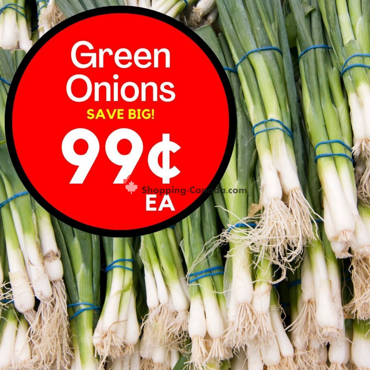 Dutchie's Fresh Market flyer from Friday June 23, 2023 to Friday June 23, 2023 - page 26