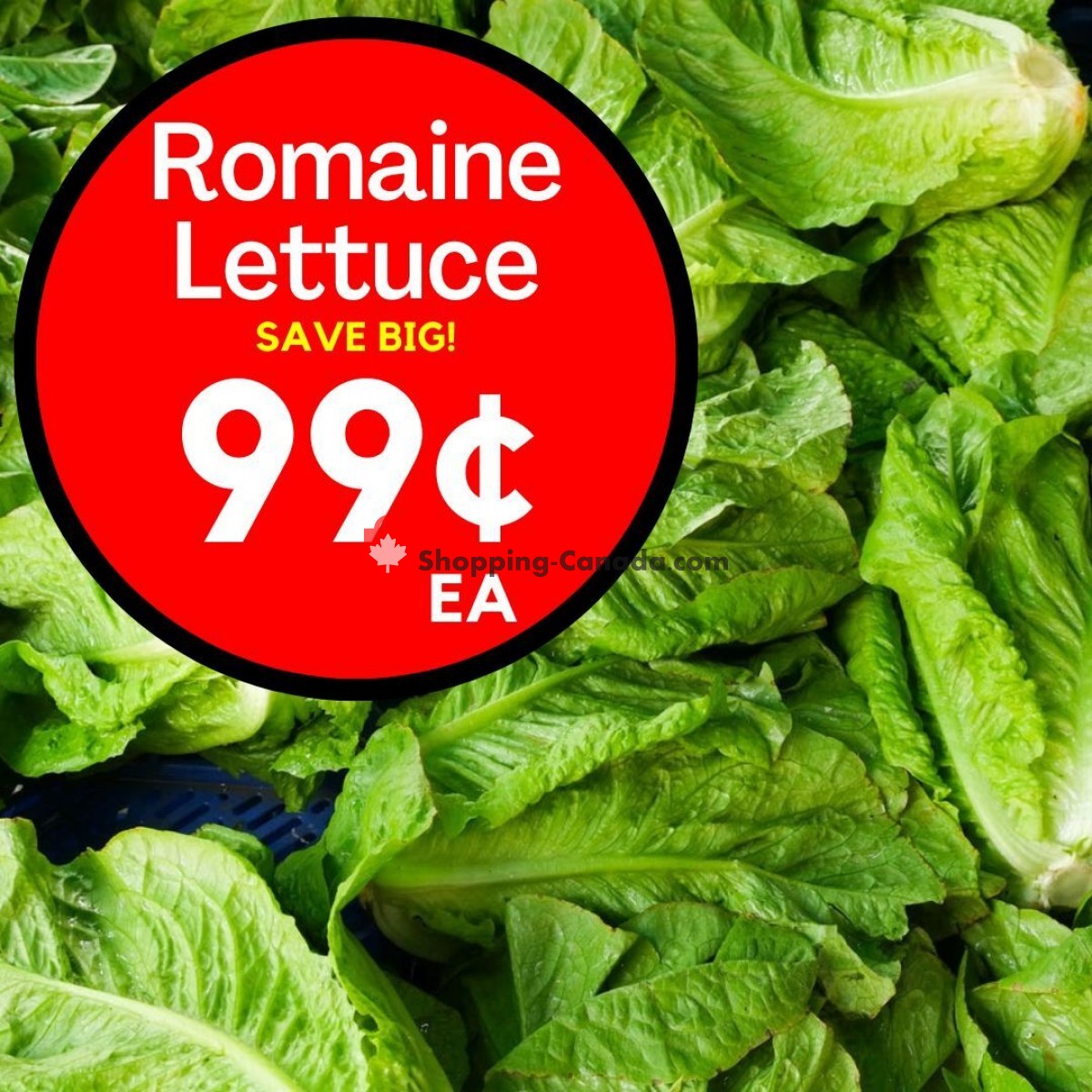 Dutchie's Fresh Market flyer from Friday June 23, 2023 to Friday June 23, 2023 - page 27