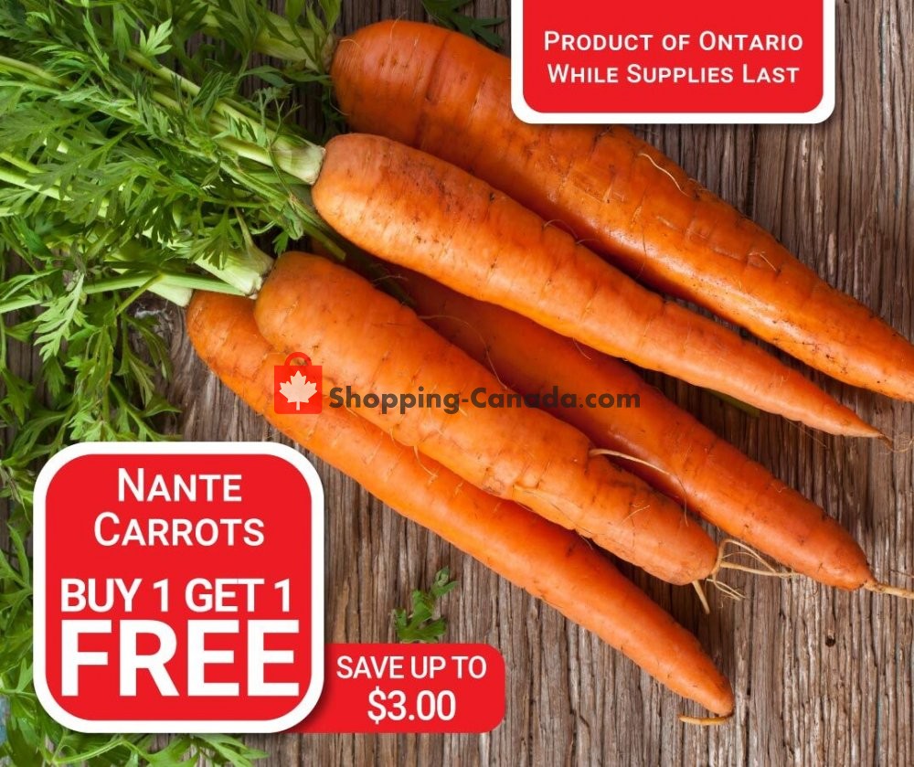 Dutchie's Fresh Market flyer from Friday October 16, 2020 to Friday October 16, 2020 - page 3