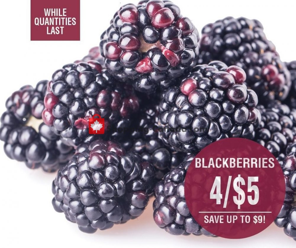 Dutchie's Fresh Market flyer from Thursday April 23, 2020 to Saturday April 25, 2020 - page 8