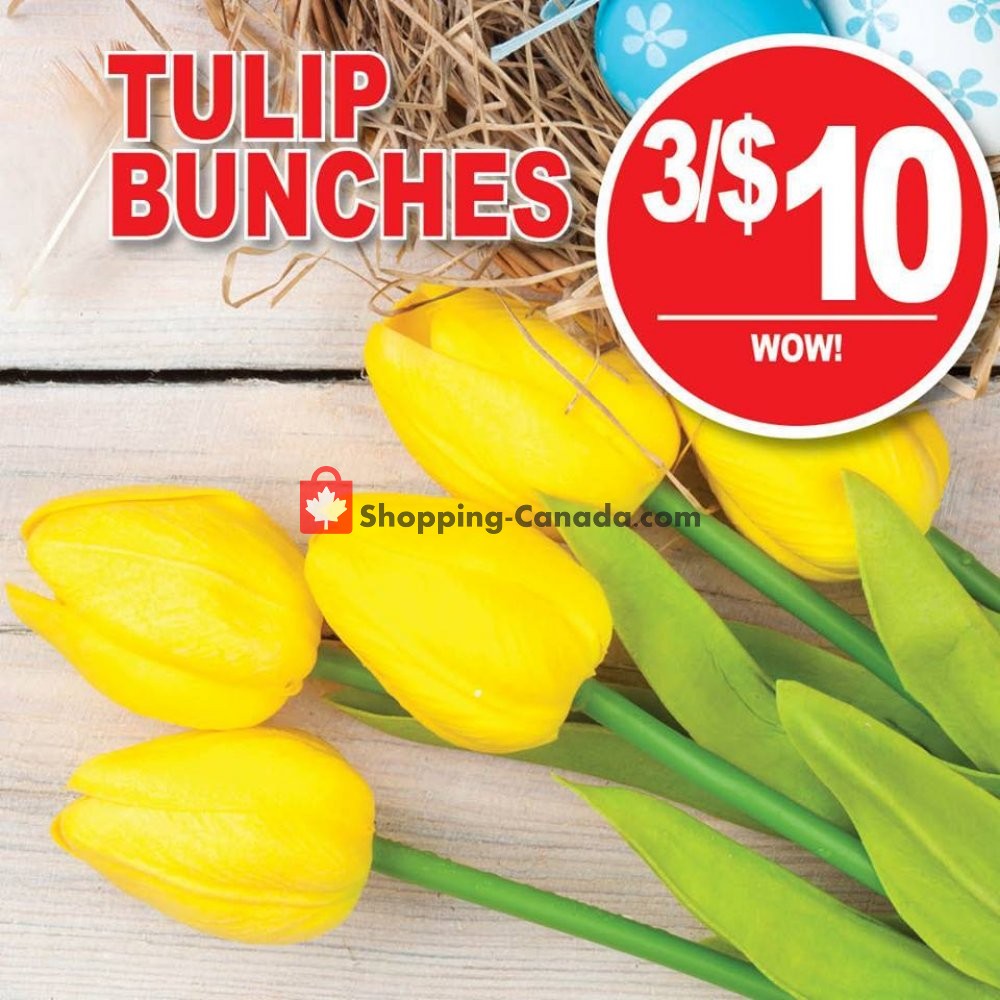 Dutchie's Fresh Market flyer from Saturday April 20, 2019 to Saturday April 20, 2019 - page 17