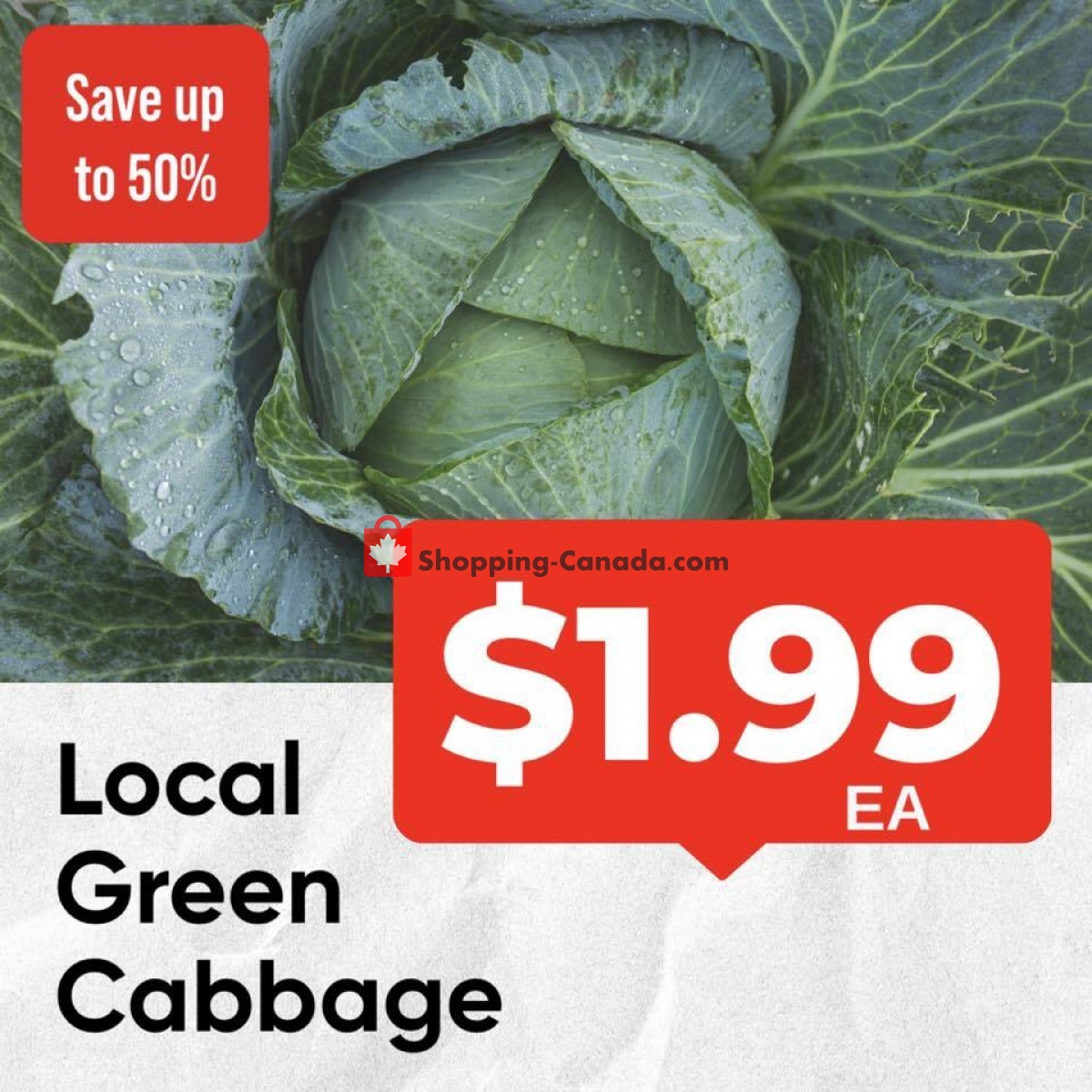 Dutchie's Fresh Market flyer from Monday January 16, 2023 to Monday January 16, 2023 - page 18