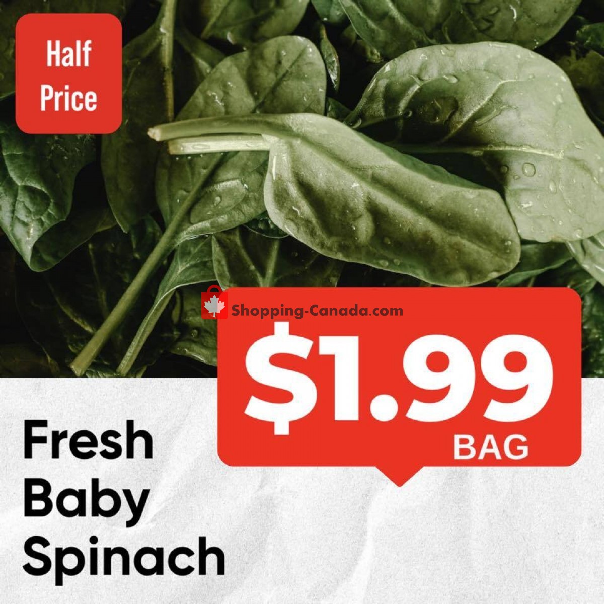 Dutchie's Fresh Market flyer from Monday January 16, 2023 to Monday January 16, 2023 - page 21