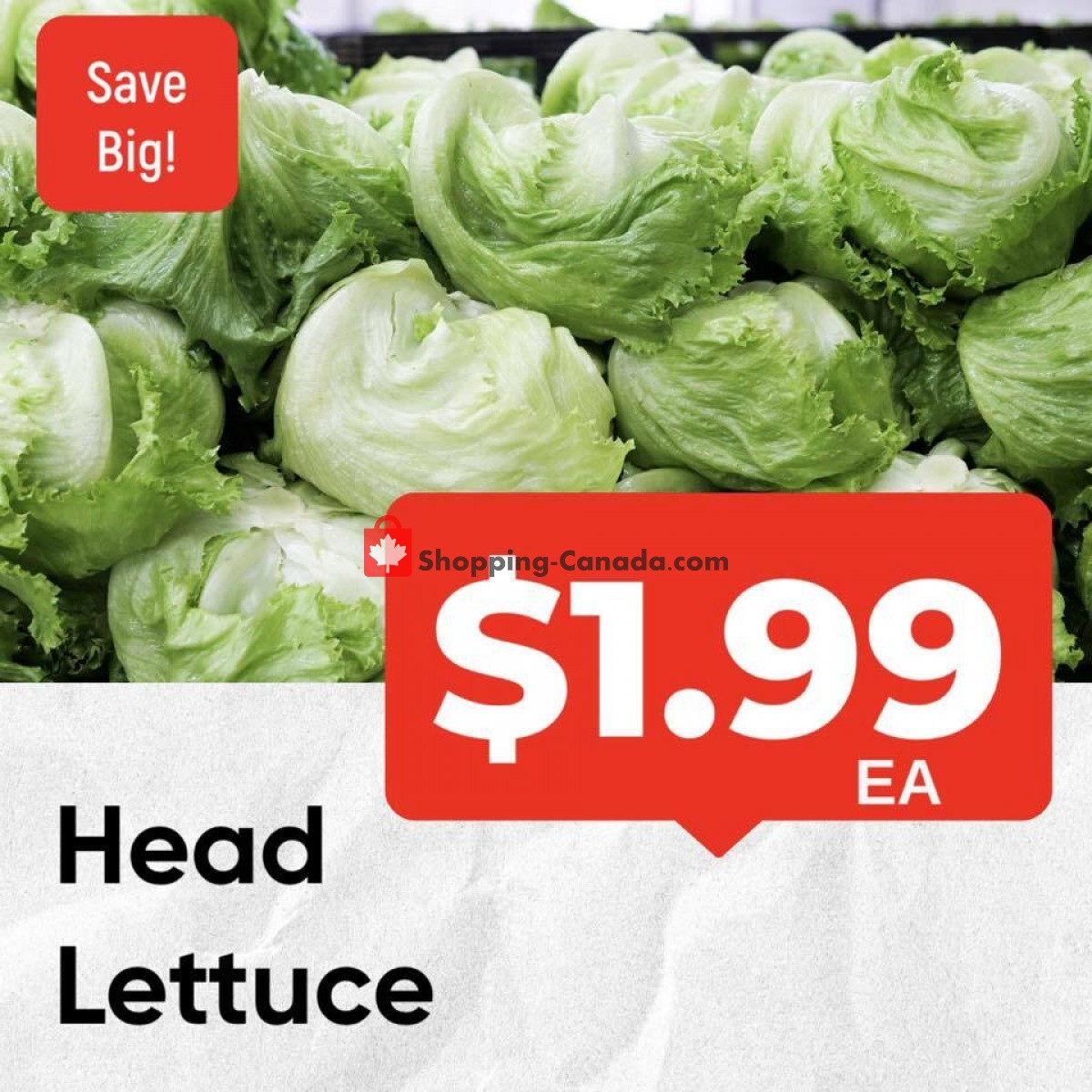 Dutchie's Fresh Market flyer from Monday January 16, 2023 to Monday January 16, 2023 - page 22