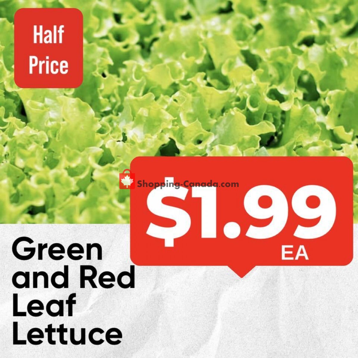 Dutchie's Fresh Market flyer from Monday January 16, 2023 to Monday January 16, 2023 - page 24