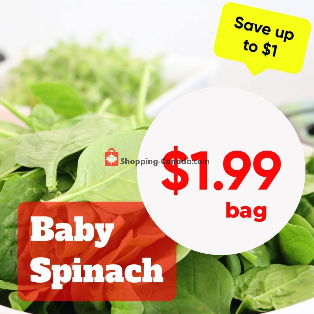 Dutchie's Fresh Market flyer from Monday January 23, 2023 to Monday January 23, 2023 - page 13