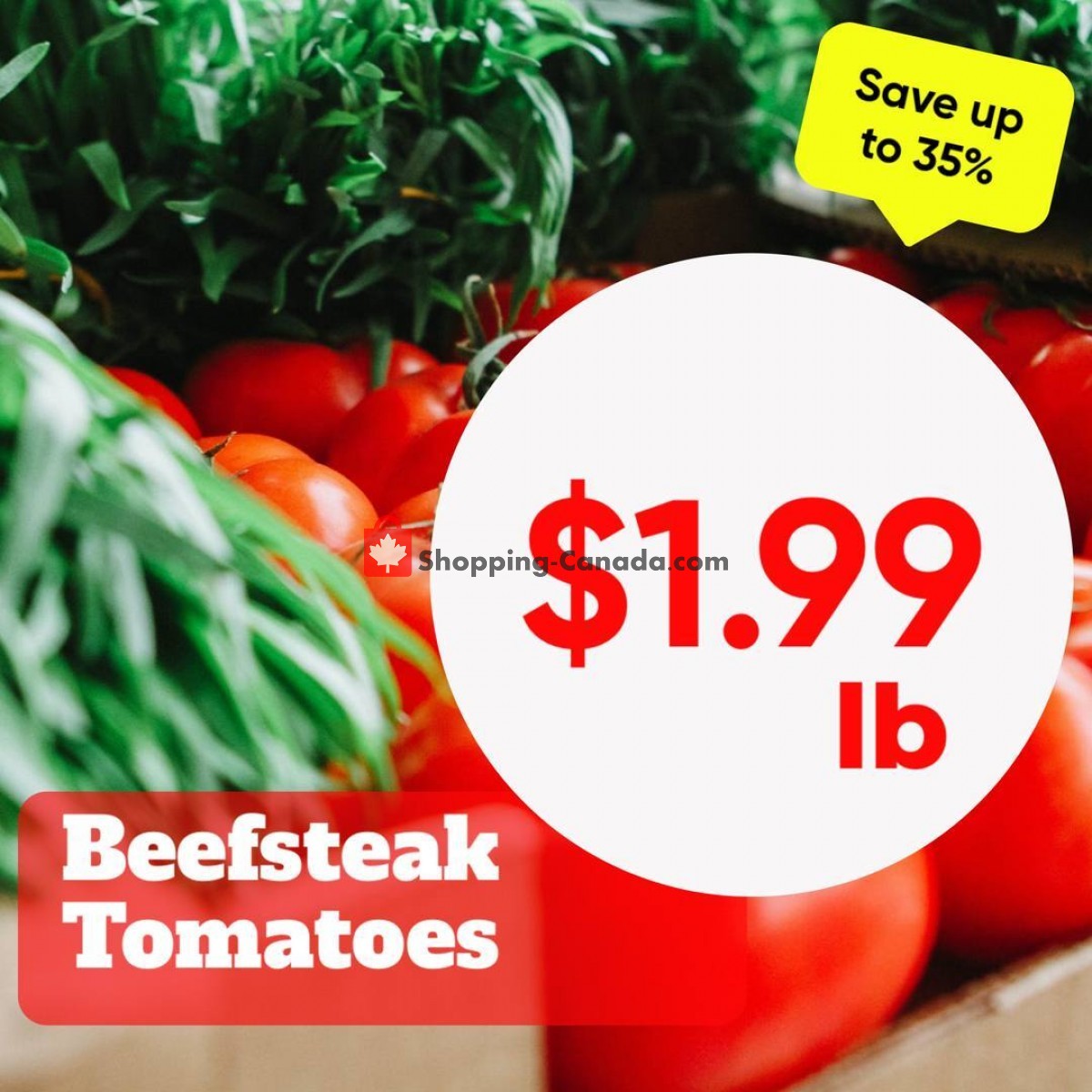 Dutchie's Fresh Market flyer from Monday January 23, 2023 to Monday January 23, 2023 - page 15