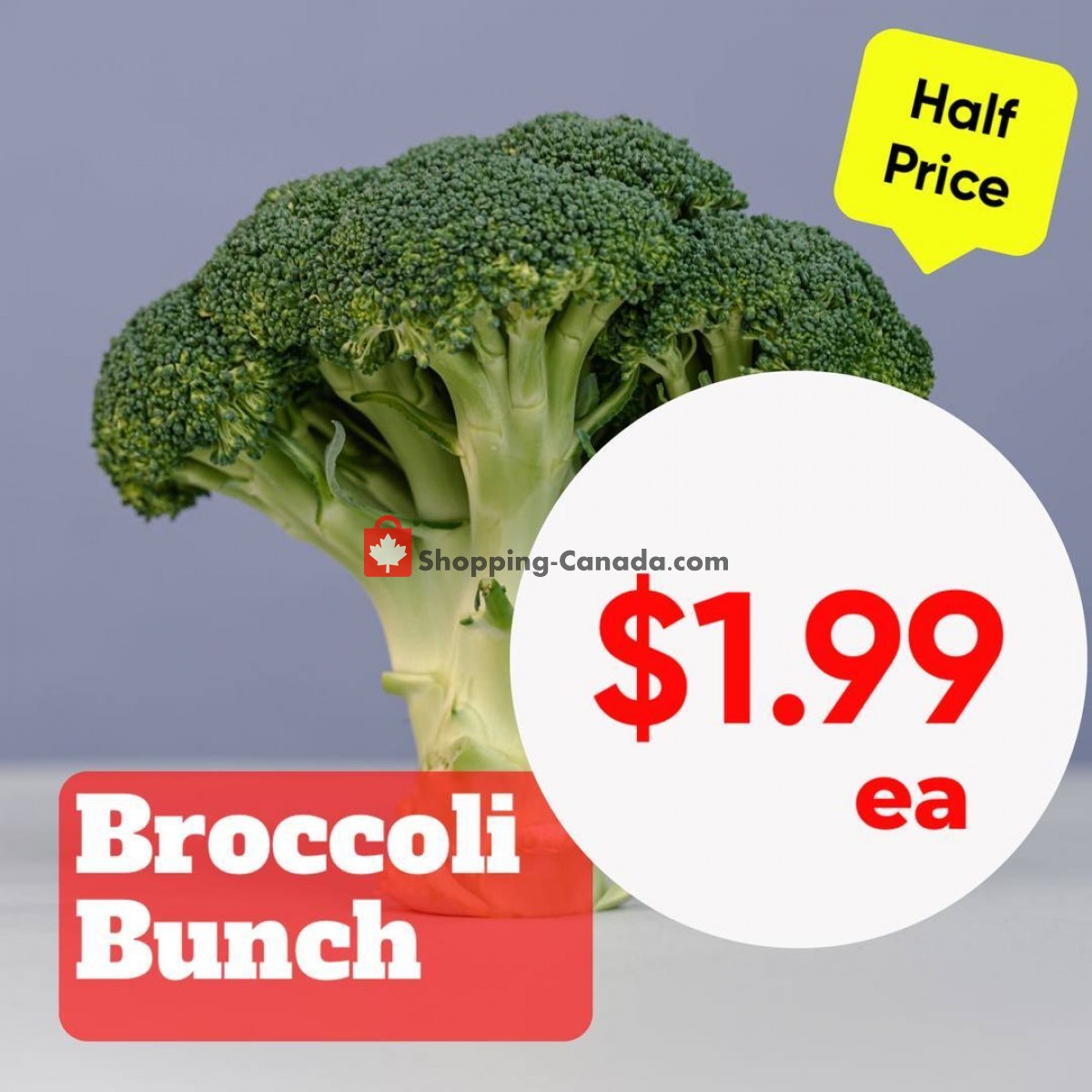 Dutchie's Fresh Market flyer from Monday January 23, 2023 to Monday January 23, 2023 - page 16