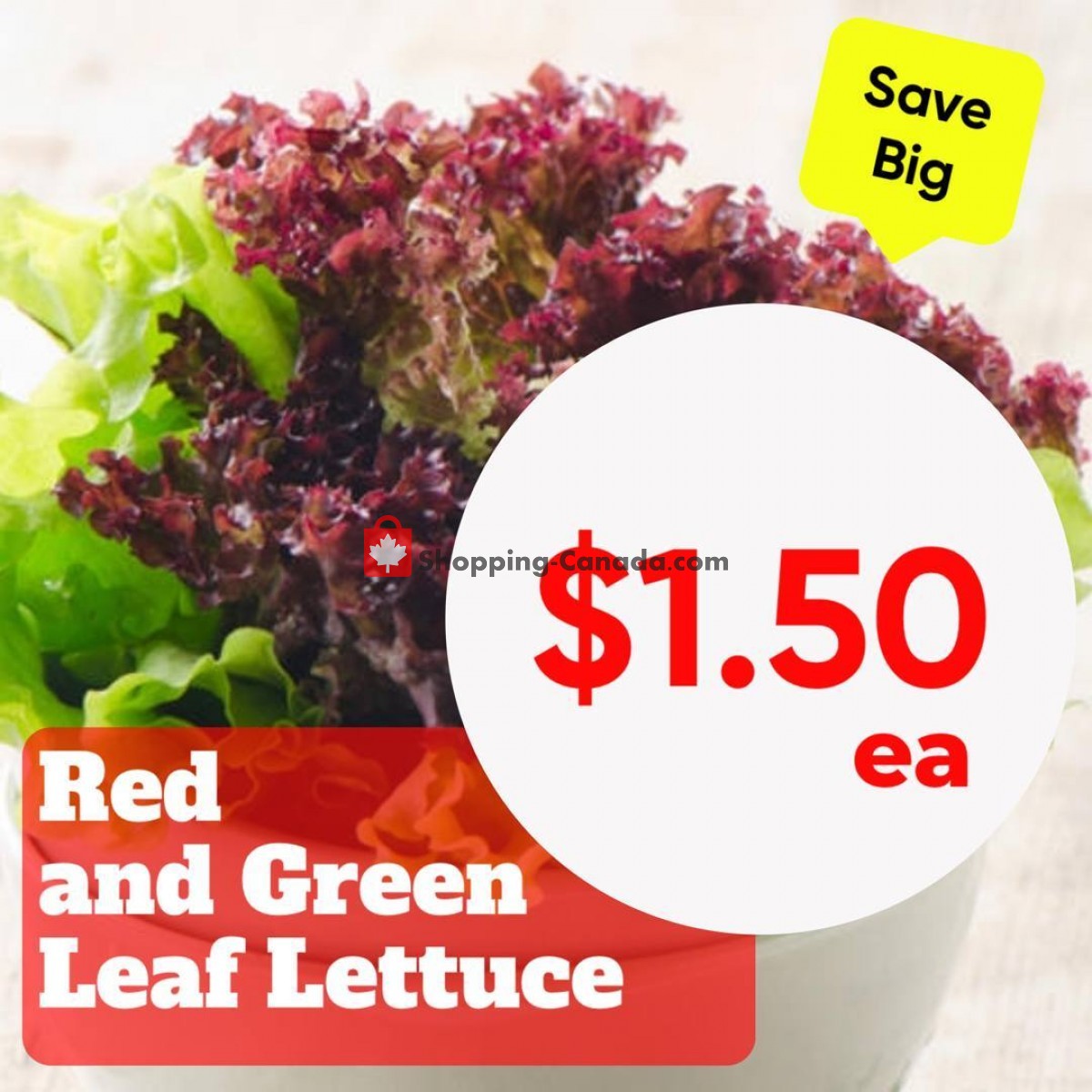 Dutchie's Fresh Market flyer from Monday January 23, 2023 to Monday January 23, 2023 - page 22