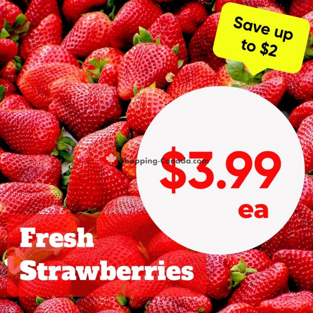 Dutchie's Fresh Market flyer from Monday January 23, 2023 to Monday January 23, 2023 - page 6