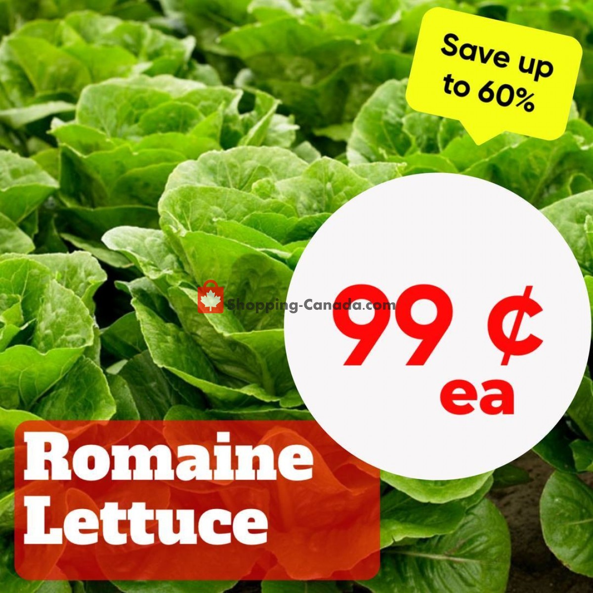 Dutchie's Fresh Market flyer from Monday January 23, 2023 to Monday January 23, 2023 - page 7