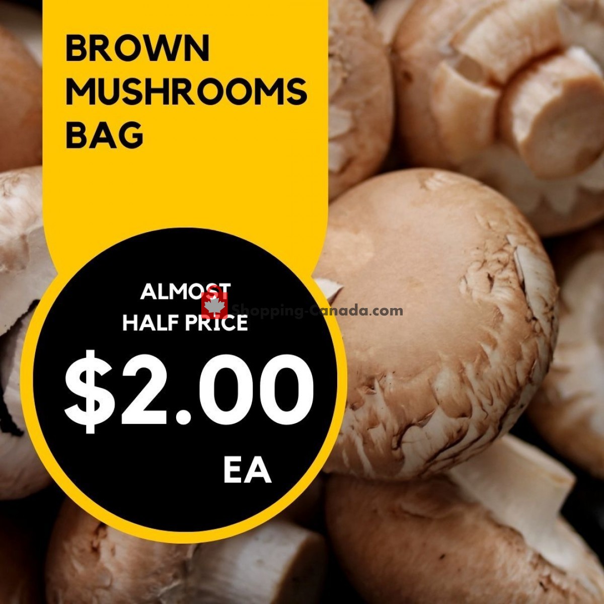 Dutchie's Fresh Market flyer from Monday June 19, 2023 to Monday June 19, 2023 - page 10