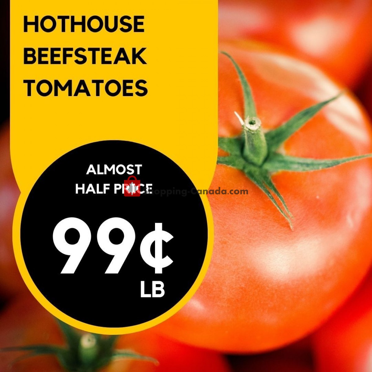 Dutchie's Fresh Market flyer from Monday June 19, 2023 to Monday June 19, 2023 - page 15