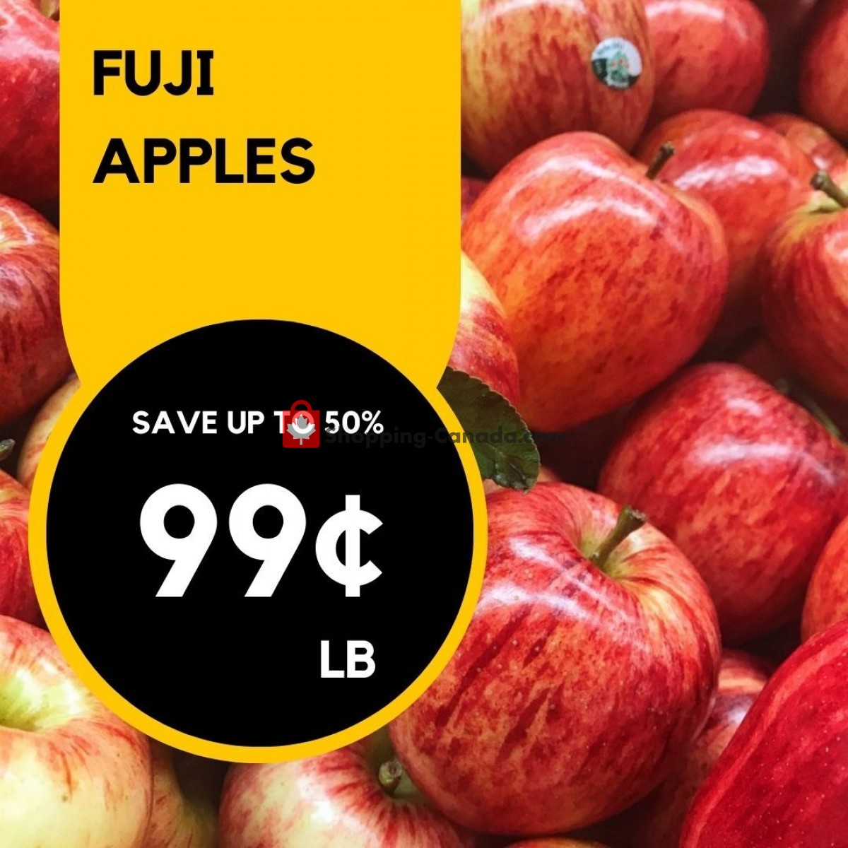 Dutchie's Fresh Market flyer from Monday June 19, 2023 to Monday June 19, 2023 - page 16