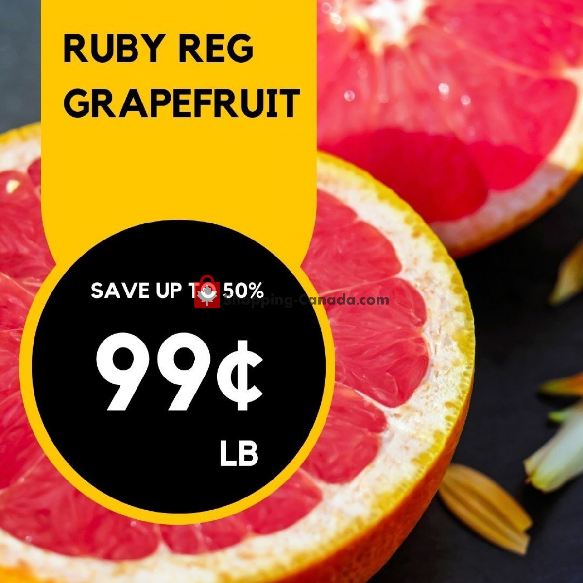 Dutchie's Fresh Market flyer from Monday June 19, 2023 to Monday June 19, 2023 - page 17