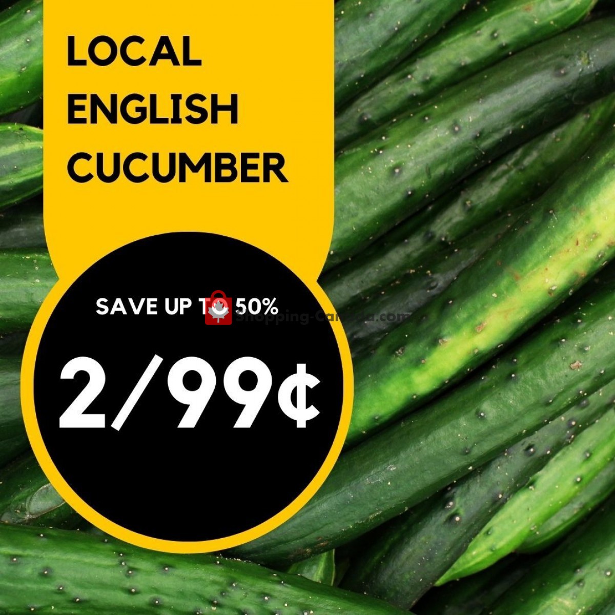 Dutchie's Fresh Market flyer from Monday June 19, 2023 to Monday June 19, 2023 - page 18