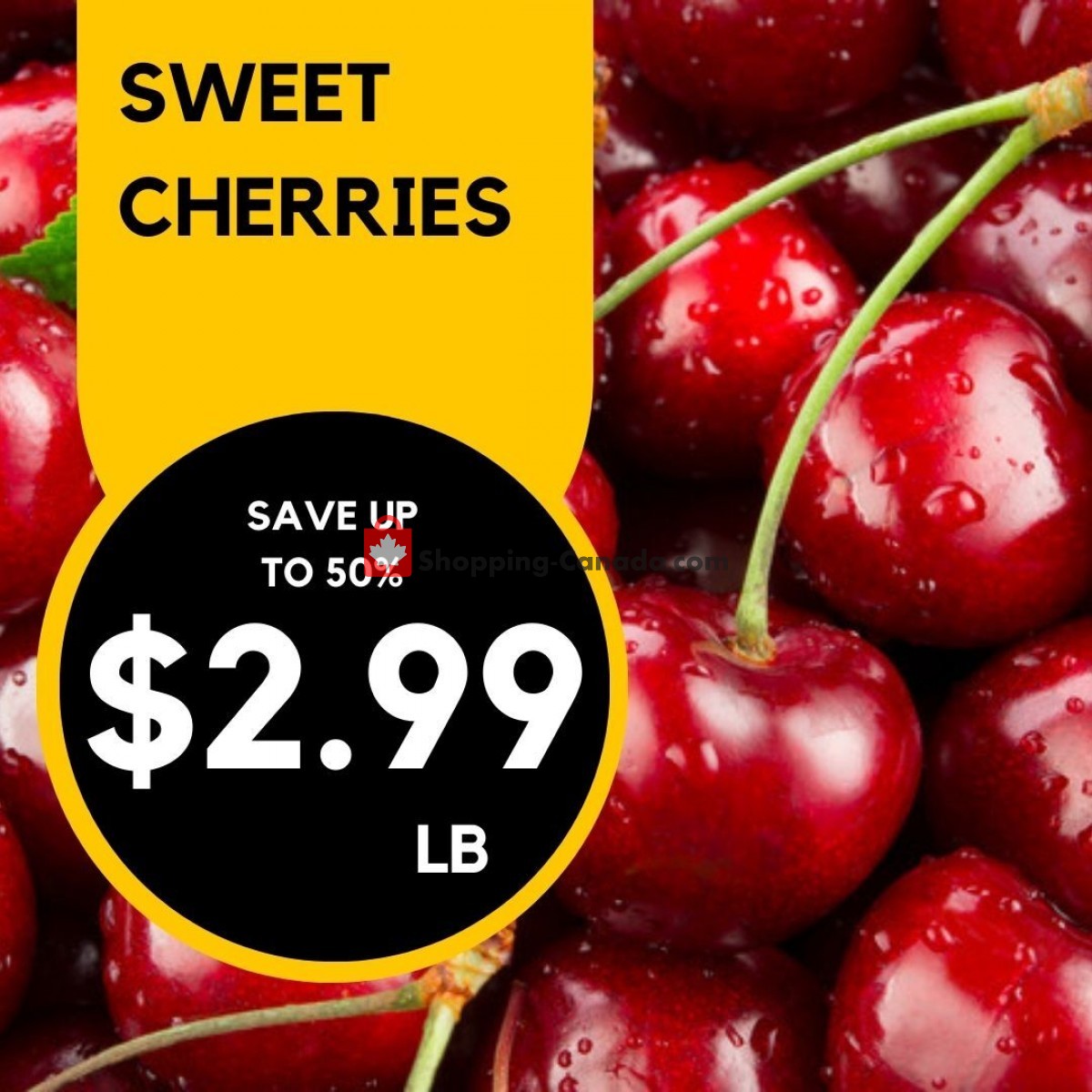 Dutchie's Fresh Market flyer from Monday June 19, 2023 to Monday June 19, 2023 - page 3