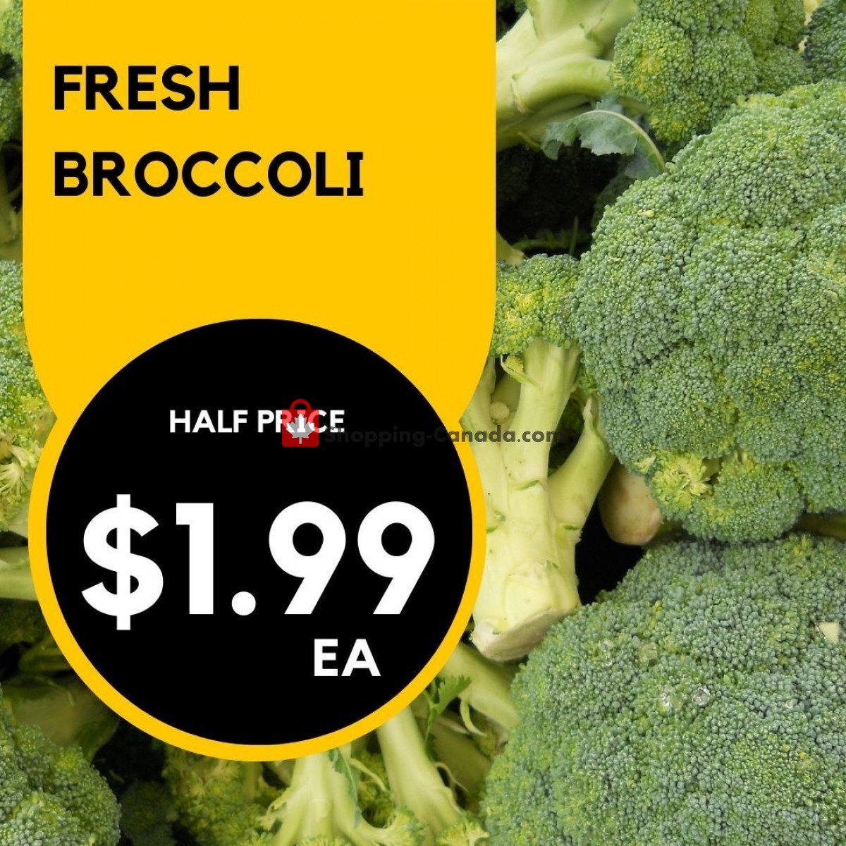 Dutchie's Fresh Market flyer from Monday June 19, 2023 to Monday June 19, 2023 - page 33