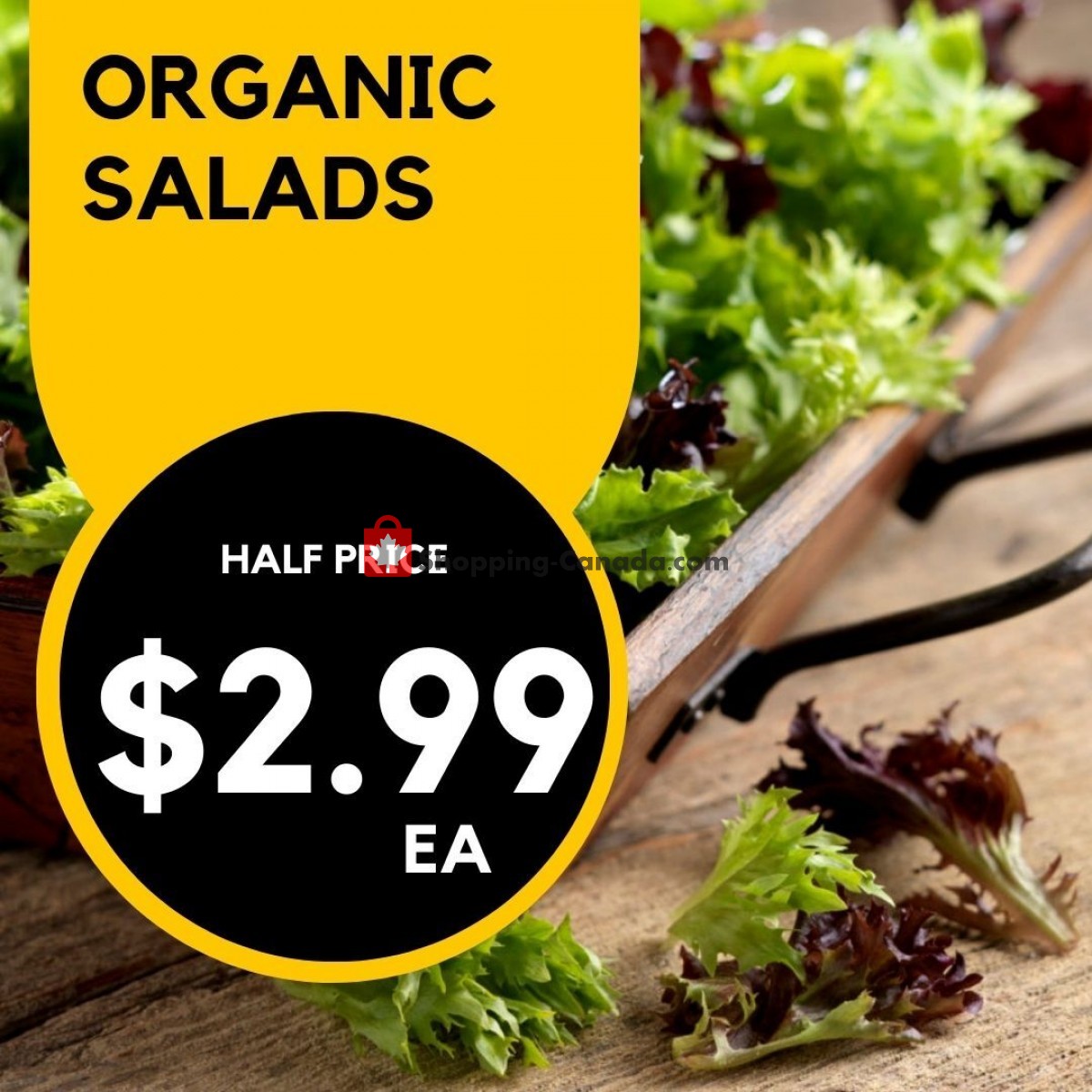 Dutchie's Fresh Market flyer from Monday June 19, 2023 to Monday June 19, 2023 - page 45