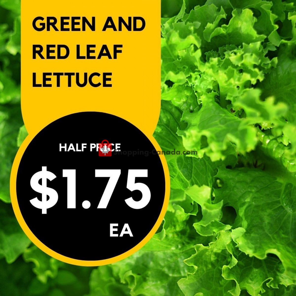 Dutchie's Fresh Market flyer from Monday June 19, 2023 to Monday June 19, 2023 - page 46