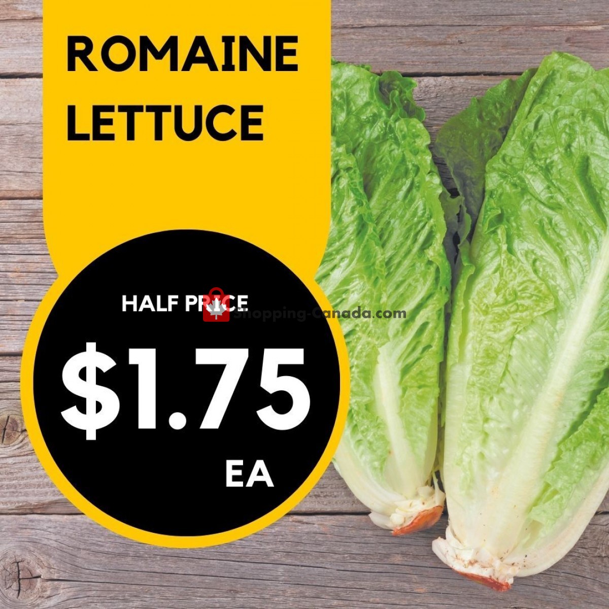 Dutchie's Fresh Market flyer from Monday June 19, 2023 to Monday June 19, 2023 - page 47