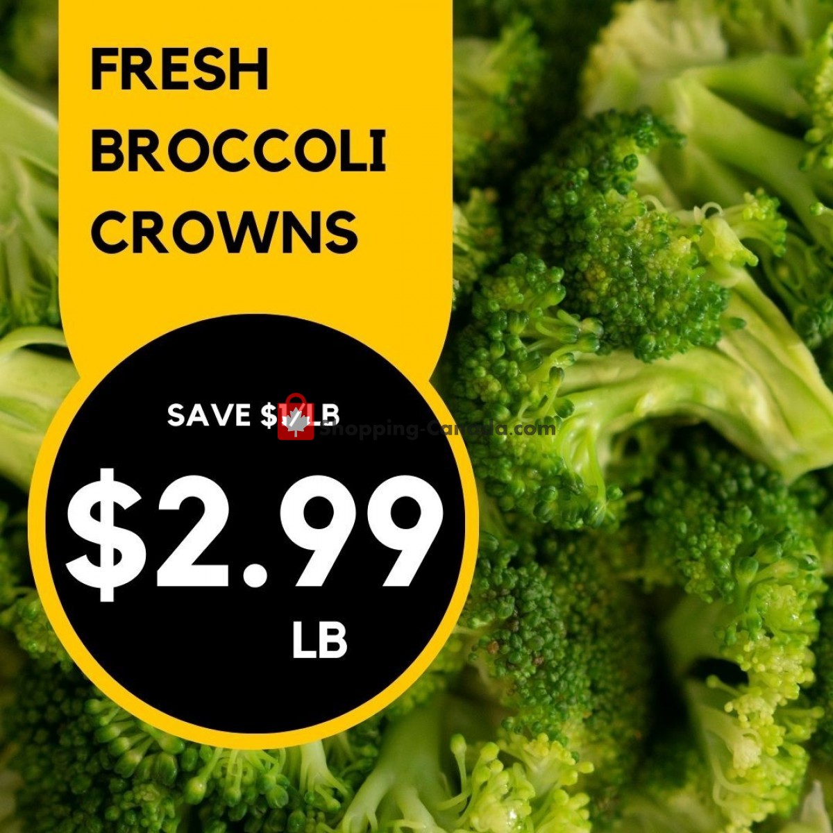 Dutchie's Fresh Market flyer from Monday June 19, 2023 to Monday June 19, 2023 - page 49