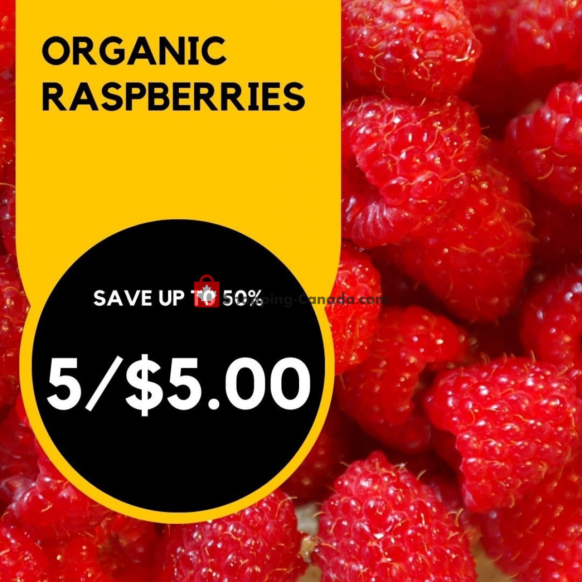 Dutchie's Fresh Market flyer from Monday June 19, 2023 to Monday June 19, 2023 - page 7