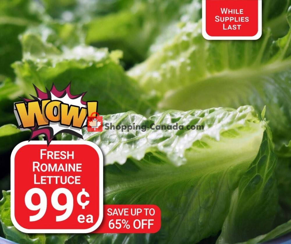 Dutchie's Fresh Market flyer from Saturday January 16, 2021 to Saturday January 16, 2021 - page 14