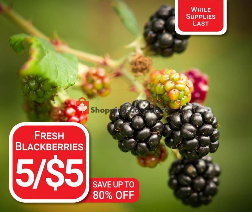 Dutchie's Fresh Market flyer from Saturday October 17, 2020 to Saturday October 17, 2020 - page 3