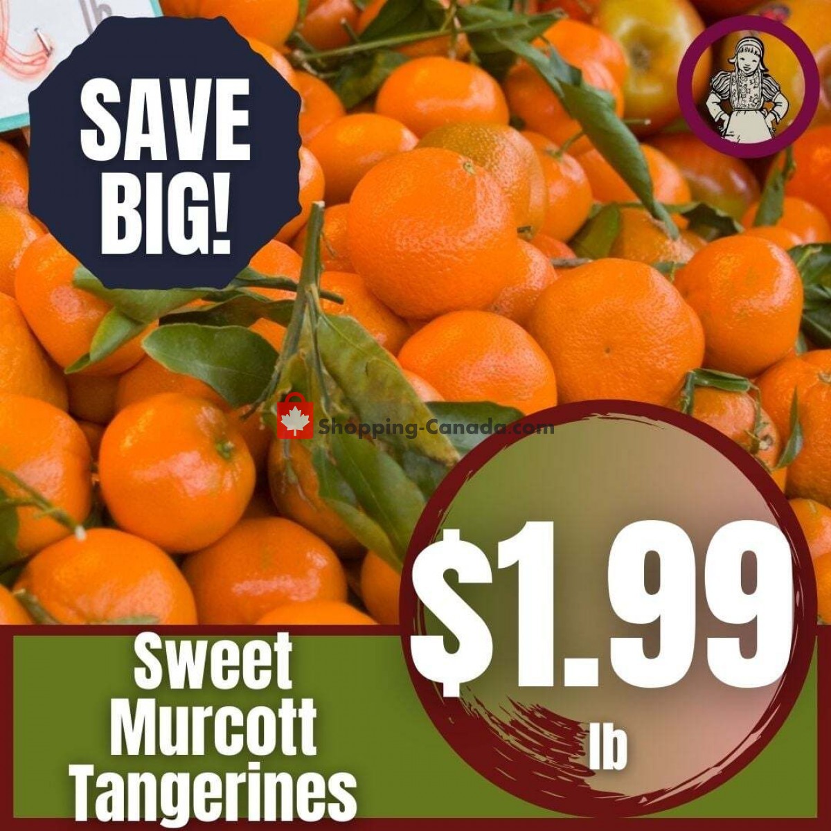 Dutchie's Fresh Market flyer from Saturday September 11, 2021 to Saturday September 11, 2021 - page 17