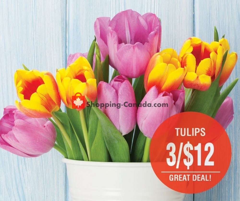 Dutchie's Fresh Market flyer from Saturday April 25, 2020 to Saturday April 25, 2020 - page 10