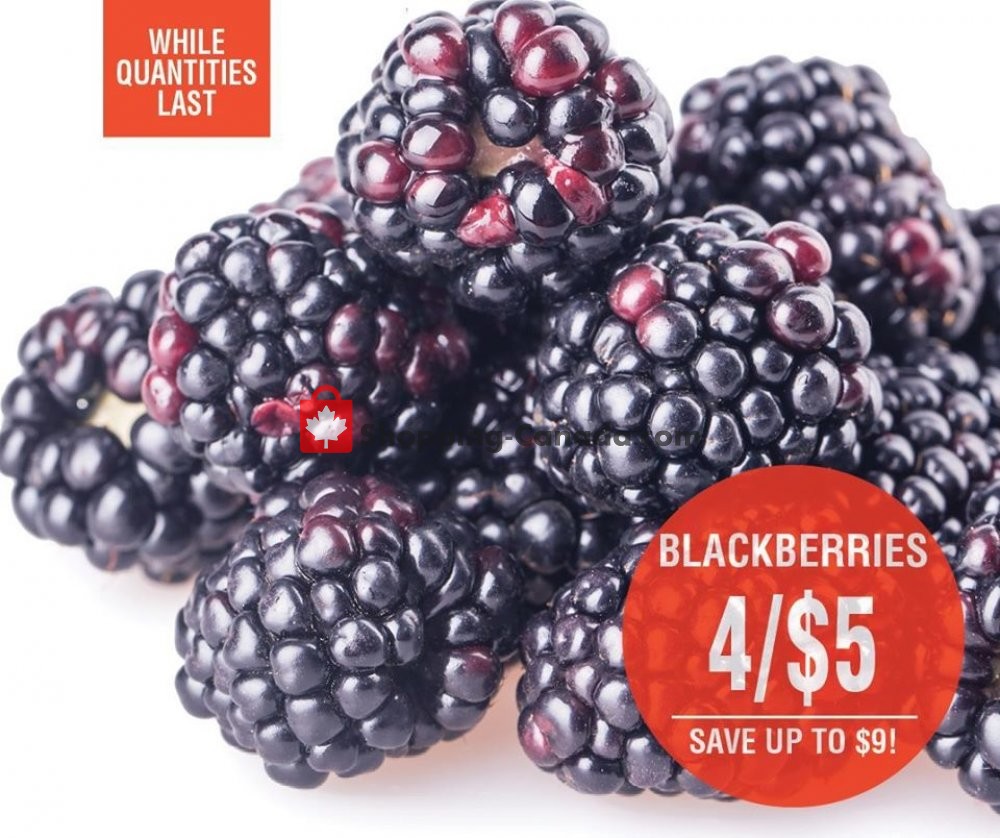 Dutchie's Fresh Market flyer from Saturday April 25, 2020 to Saturday April 25, 2020 - page 4