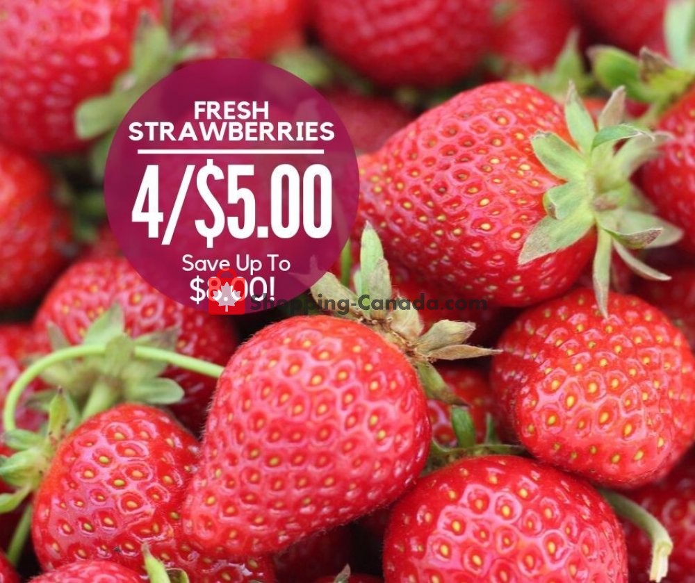 Dutchie's Fresh Market flyer from Tuesday October 8, 2019 to Tuesday October 8, 2019 - page 10