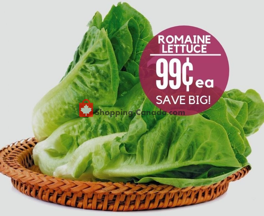 Dutchie's Fresh Market flyer from Tuesday October 8, 2019 to Tuesday October 8, 2019 - page 8