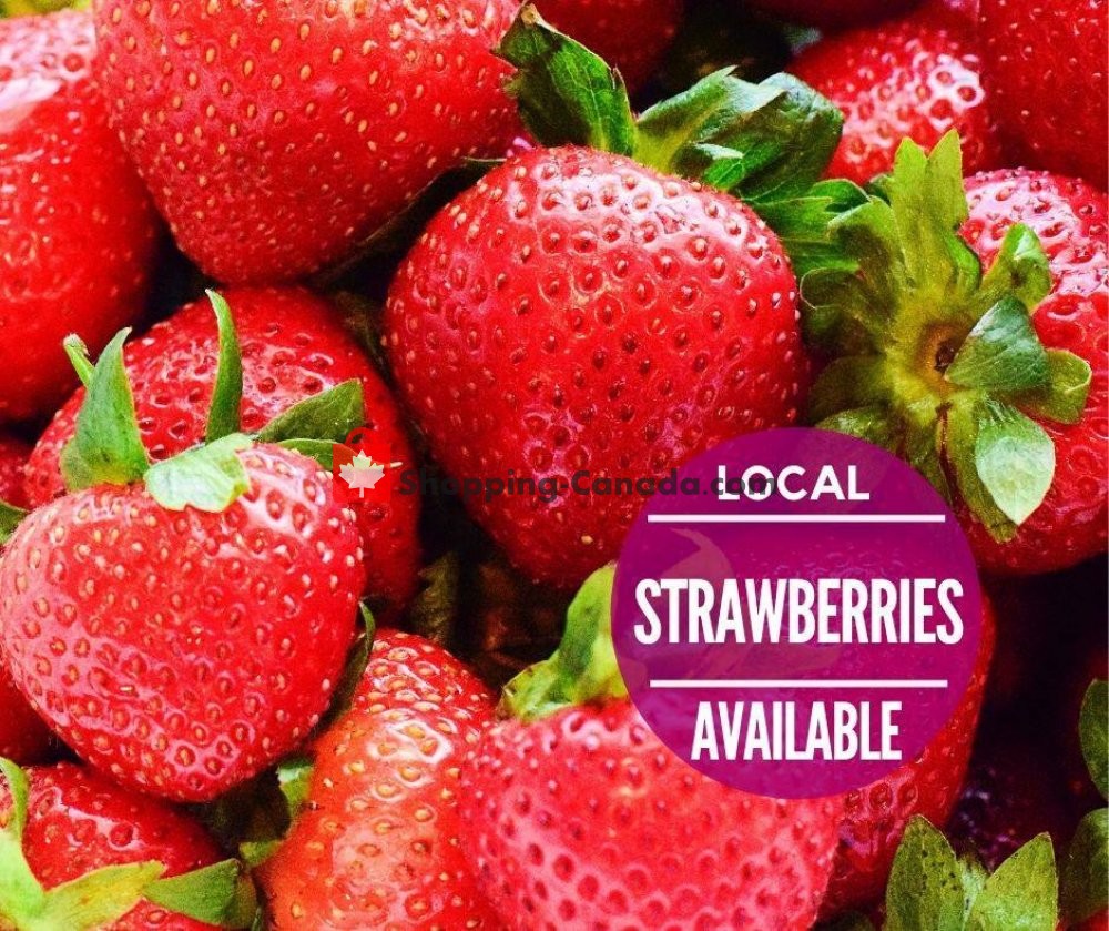Dutchie's Fresh Market flyer from Thursday September 5, 2019 to Thursday September 5, 2019 - page 15