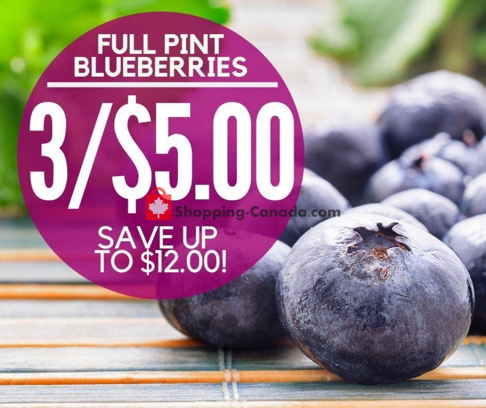 Dutchie's Fresh Market flyer from Saturday July 13, 2019 to Saturday July 13, 2019 - page 17