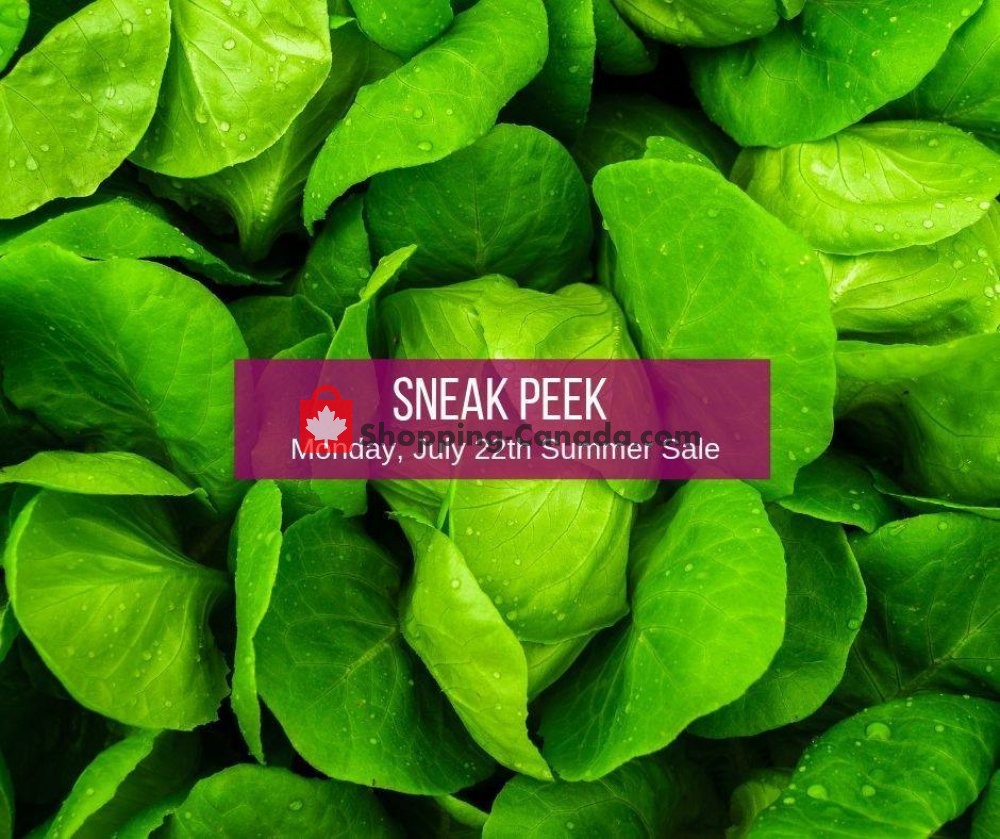 Dutchie's Fresh Market flyer from Monday July 22, 2019 to Monday July 22, 2019 - page 1